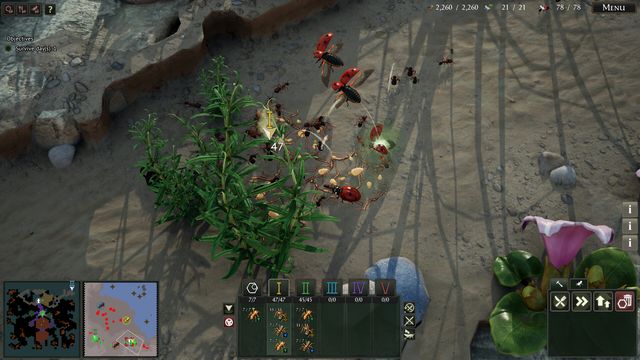 Empires of the Undergrowth 5