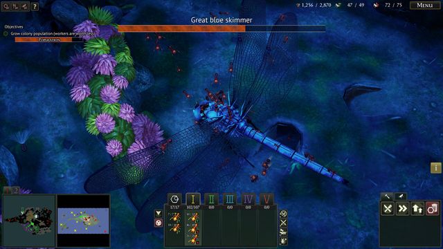 Empires of the Undergrowth 6