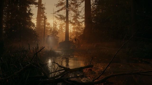 Alan Wake II 5