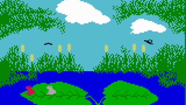 Frog Bog 2