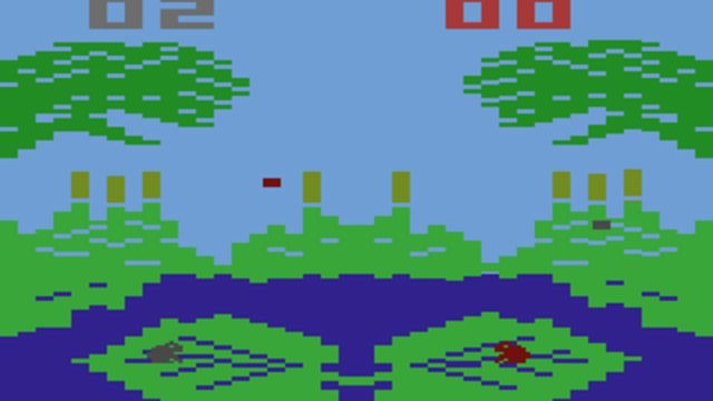 Frog Bog 4