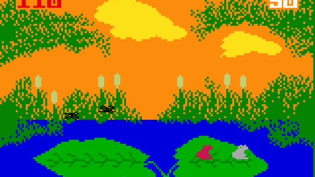 Frog Bog 5