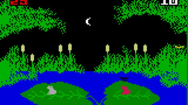 Frog Bog 6