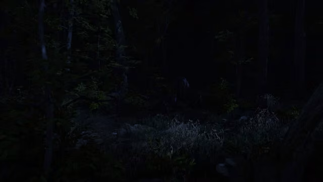 Surrounded 6