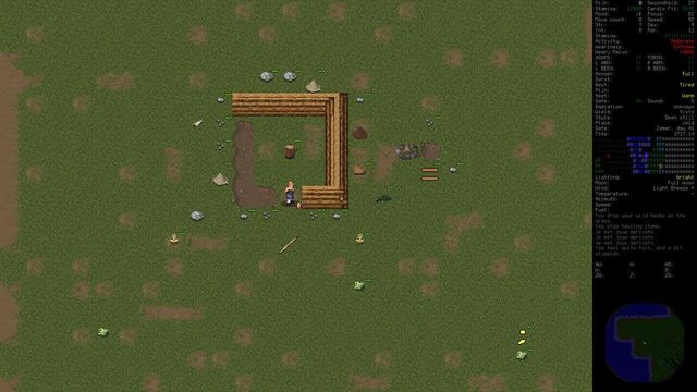 Cataclysm: Dark Days Ahead 5