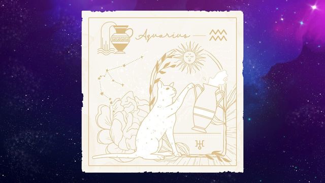 Zodiacats 3