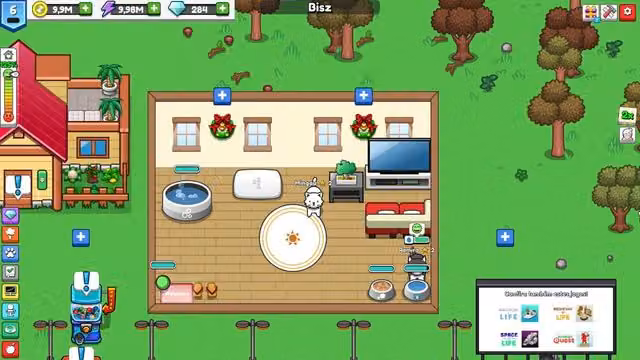 Pet idle 1