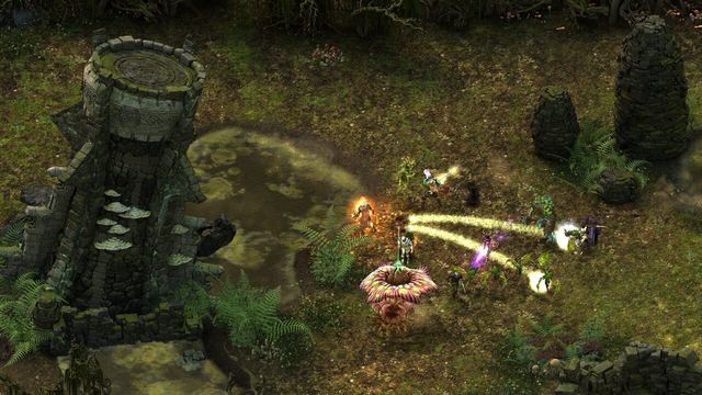 Pillars of Eternity: The White March Part II 4