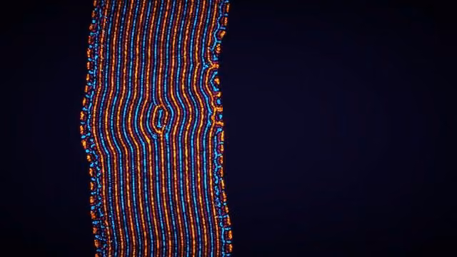 Parametric Creature: Lab 6