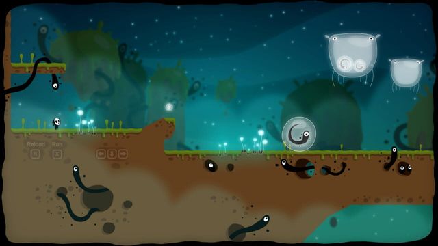 Ecotone 5