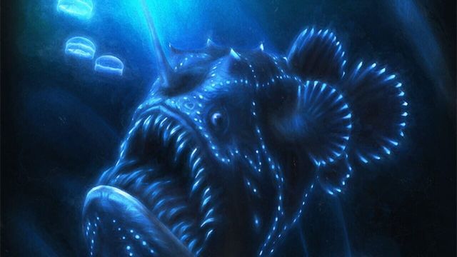 theBlu 3