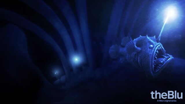 theBlu 5