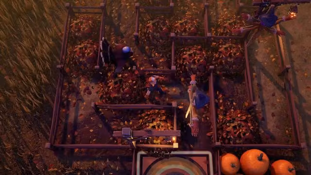 Pumpkins 3
