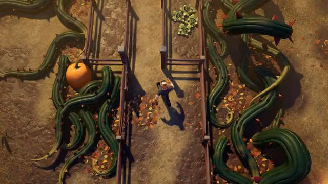 Pumpkins 4