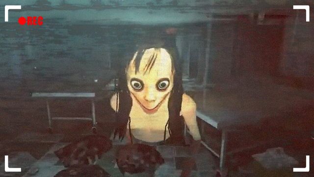 Momo is Here 1