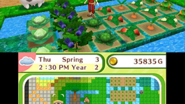 Harvest Moon: Skytree Village 4