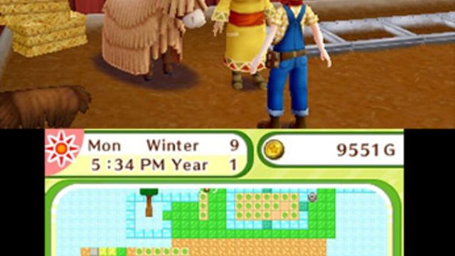 Harvest Moon: Skytree Village 5