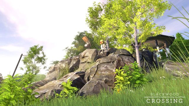 Blackwood Crossing 3