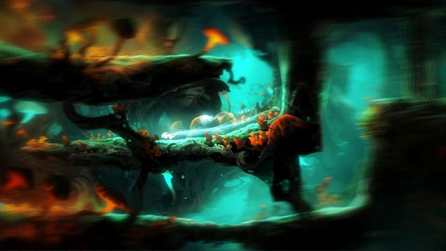 Ori and the Blind Forest: Definitive Edition 3