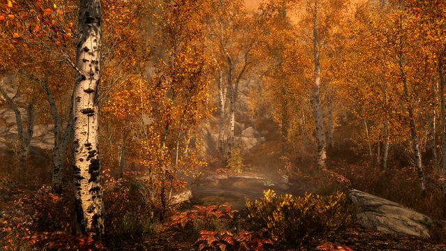 The Elder Scrolls V: Skyrim - Special Edition 3