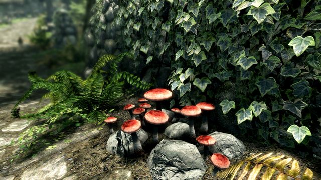 The Elder Scrolls V: Skyrim - Special Edition 6