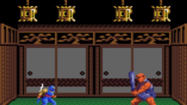 Ninja Gaiden 5