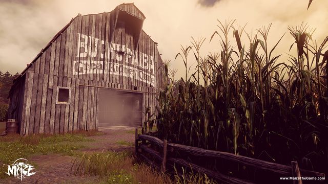 Maize 6