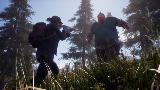 State of Decay 2 4