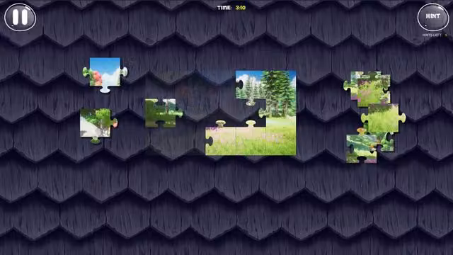 Puzzle: Nature 4