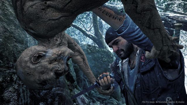 Days Gone 5