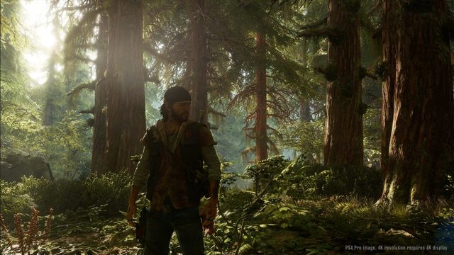Days Gone 6