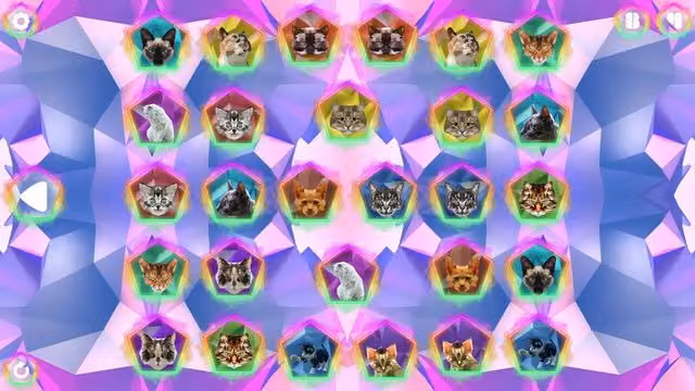 Poly Memory: Cats 1