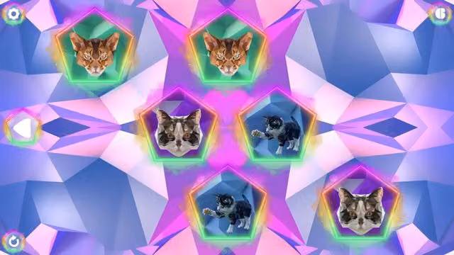 Poly Memory: Cats 2