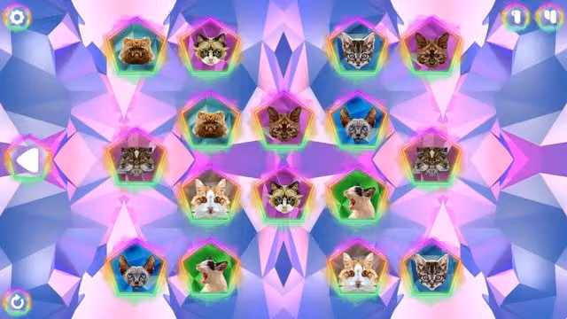 Poly Memory: Cats 4