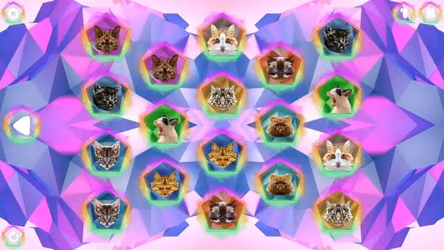 Poly Memory: Cats 5
