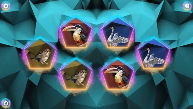 Poly Memory: Birds 1