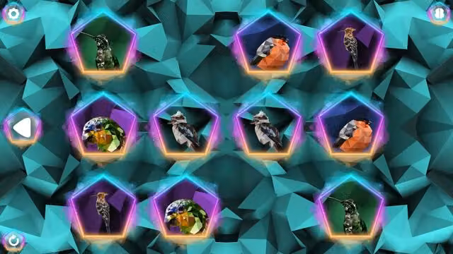 Poly Memory: Birds 3