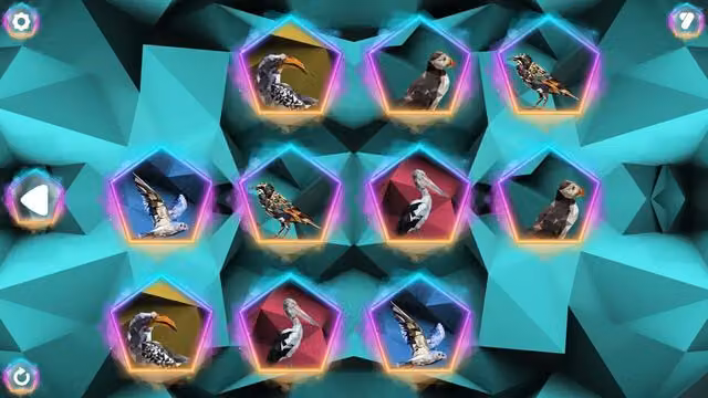 Poly Memory: Birds 4