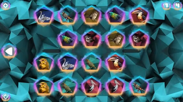 Poly Memory: Birds 5