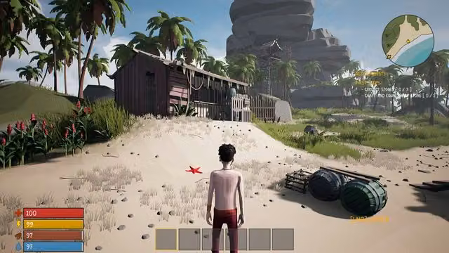 Pirates 1