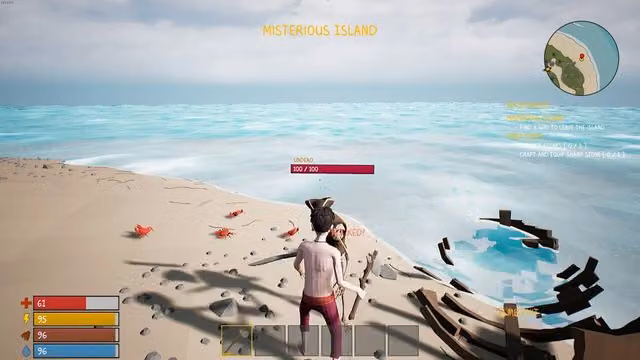 Pirates 4