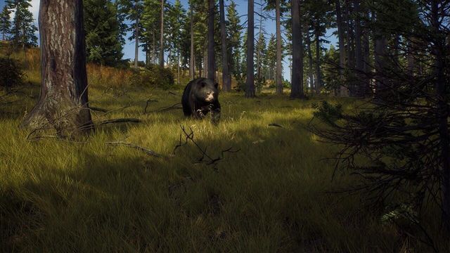 Way of the Hunter 3