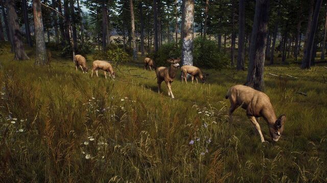 Way of the Hunter 4