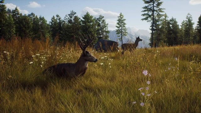 Way of the Hunter 5