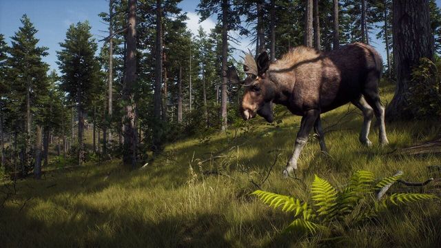 Way of the Hunter 6