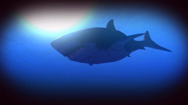 Feed and Grow: Fish 3