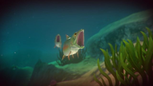 Feed and Grow: Fish 4