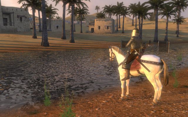 Mount & Blade: Warband 5