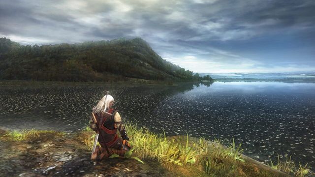 The Witcher: Enhanced Edition 5