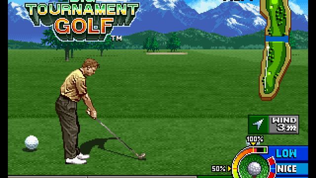 Neo Turf Masters 3